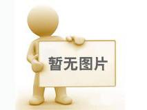 歐式固定電動葫蘆：助力工業發展的起重神器